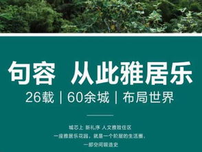 句容房產(chǎn)交易全方位指南 樓盤(pán)、二手房及專業(yè)中介服務(wù)網(wǎng)絡(luò)解析